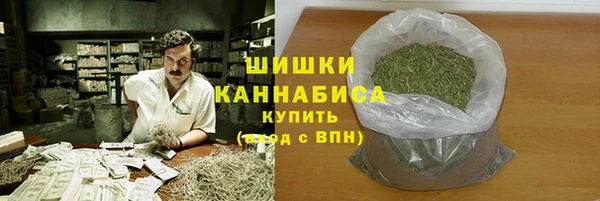 ECSTASY Богородицк